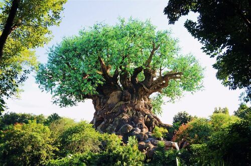 A imponente Árvore da Vida no Animal Kingdom